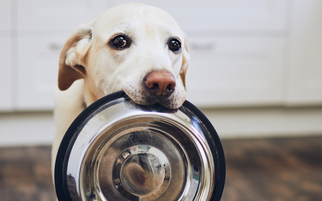 Liebevoller Abschied von Futternapf & Co.