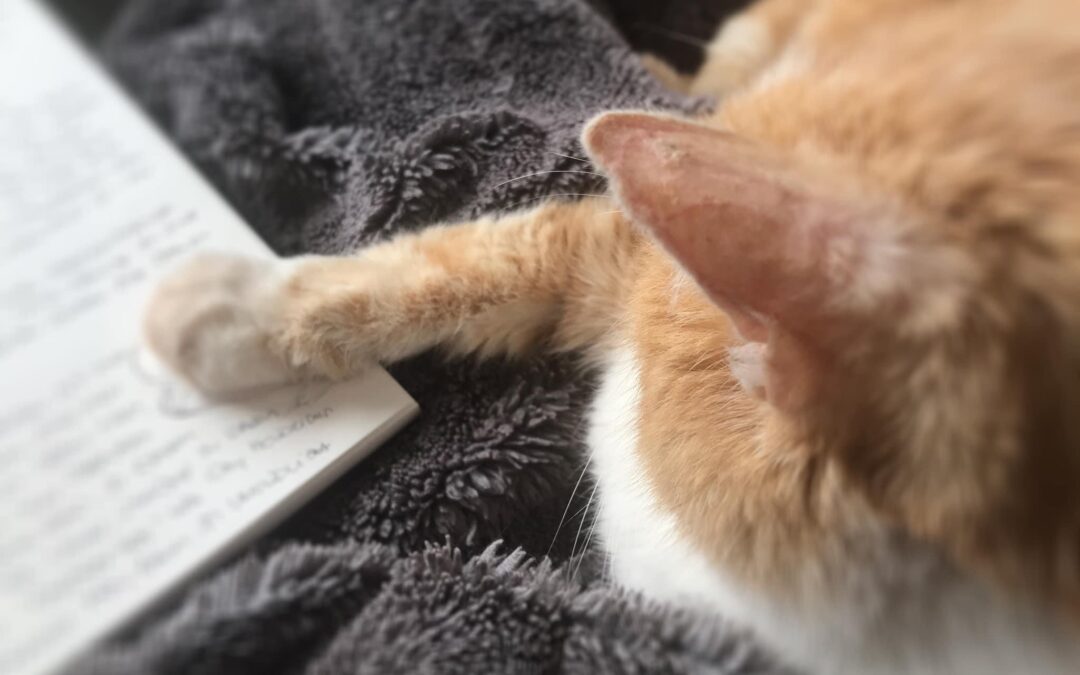 Deep Journaling: Die Macht des Schreibens