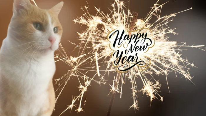 Auf dem Bild sieht man einen Kater und ein Spritzkerze, denn dein Seelentier begleitet dich ins neue Jahr