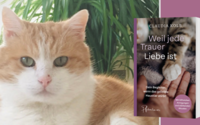 Muckis Vermächtnis: Das Buch, das ich für dich geschrieben habe