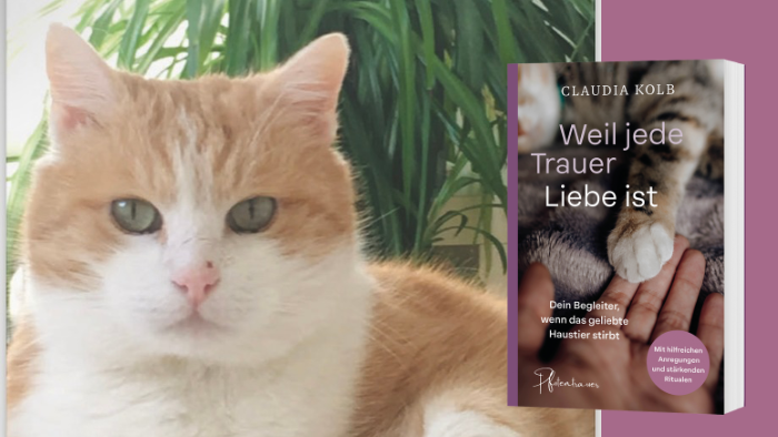Muckis Vermächtnis: Das Buch, das ich für dich geschrieben habe