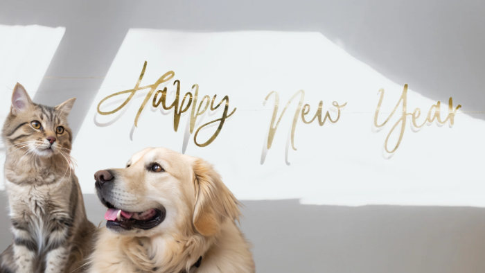 Auf dem Bild sieht man eine Katze und einen Hund vor Happy New Year als Symbol für Mit deinem geliebten Tier im Herzen ins Jahr 2026