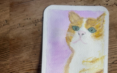 Trauer um ein Tier: Die Magie der emotionalen Nähe